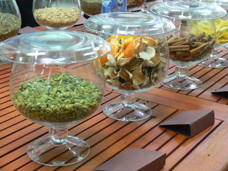 especies botánicas gin tonic